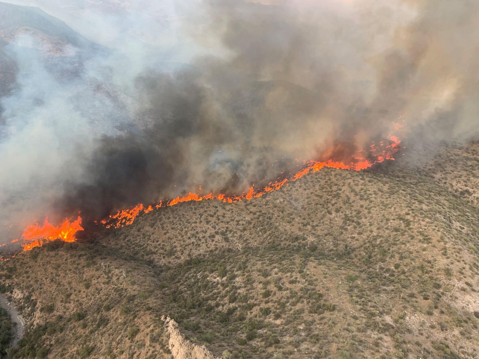 Telegraph Fire, Arizona